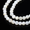 Natural Freshwater Shell Beads Strands BSHE-T009A-01A-4