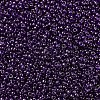 MIYUKI Round Rocailles Beads SEED-X0054-RR0308-3