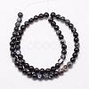 Natural Black Agate Bead Strands G-K166-13-6mm-05-2