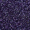 MIYUKI Delica Beads X-SEED-J020-DB1756-3