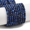 Dyed Natural Lapis Lazuli Beads Strands G-K376-B05-01-1