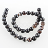 Natural Black Agate Round Bead Strands G-E234-04-2