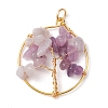 6Pcs 6 Styles Natural Mixed Gemstone Chip Pendants PALLOY-JF02595-3