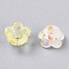 Frosted Transparent Acrylic Beads LS-X-OACR-N137-72F-3