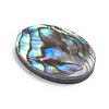 Natural Abalone Shell/Paua Shell Cabochons SSHEL-L017-003-2