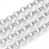 Iron Rolo Chains CH-S125-011A-P-2