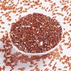 MIYUKI Quarter TILA Beads SEED-X0054-QTL257-2