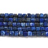 Natural Lapis Lazuli Beads Strands G-E608-B12-1
