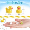 80 Pcs Tiny Ducks Mini Resin Duck Colorful Mini Duck Bulk Fairy Tale Garden Animal Sculpture Resin Duck Image for Miniature Landscape JX344A-2