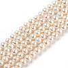 Natural Cultured Freshwater Pearl Beads Strands PEAR-L033-16-02-1