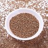 MIYUKI Delica Beads SEED-X0054-DB1836-2