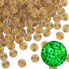 50G Luminous Transparent Acrylic Beads OACR-TAD0001-01I-3