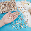 Mini Natural Shell Beads BSHE-PH0001-57A-3