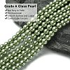 Eco-Friendly Dyed Glass Pearl Beads Strands HY-A008-6mm-RB055-3