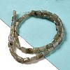 Natural Labradorite Beads Strands G-G085-A25-01-2