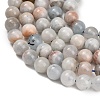 Natural Aquamarine Beads Strands GG-CBA1CAF-A02-8mm-5