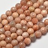 Faceted Round Natural Sunstone Beads Strands G-I176-10-8mm-1