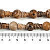 Natural Picture Jasper 3-Hole Guru Beads Strands G-H064-E06-01-5