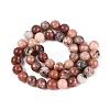 Natural Plum Blossom Jasper Beads Strands G-Q601-13A-02-3