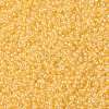 MIYUKI Round Rocailles Beads X-SEED-G008-RR0202-3
