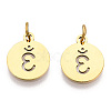 304 Stainless Steel Charms STAS-Q201-T446G-04-2