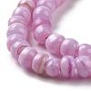 Natural Cultured Freshwater Shell Beads Strands SHEL-F002-01F-4
