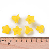 Transparent Acrylic Beads PLF018-19-4