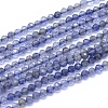 Natural Iolite Beads Strands G-I279-E08-1