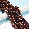 Natural Mahogany Obsidian Beads Strands G-C038-02I-2