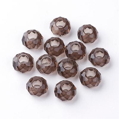 Glass European Beads GDA007-58-1