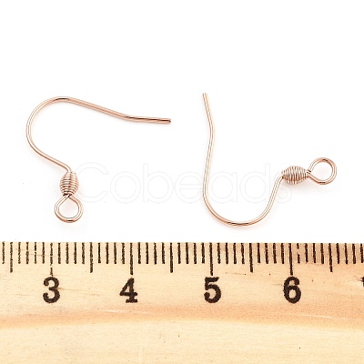 304 Stainless Steel Earring Hooks STAS-E484-55RG-1