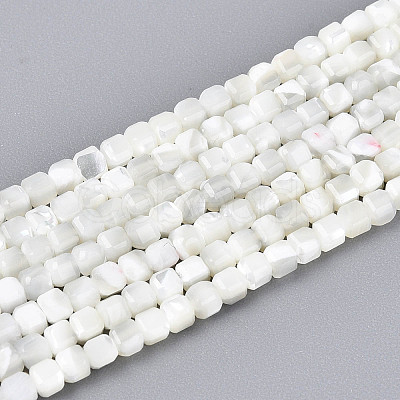 Natural Trochid Shell/Trochus Shell Beads Strands SSHEL-N041-04A-01-1