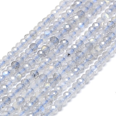Natural Labradorite Beads Strands G-G106-A17-01-1