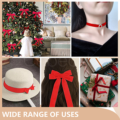 Velvet Ribbon SRIB--WH0030-01A-1
