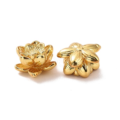 Eco-friendly Brass Beads KK-D079-08G-1