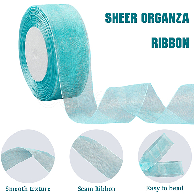 1 Rolls Sheer Organza Ribbon SRIB-CY0001-22B-06-1