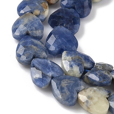 Natural Sodalite Beads Strands G-D316-B08-1