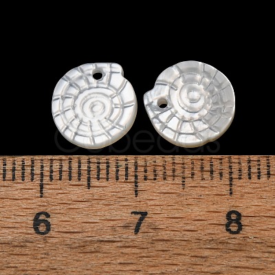 Natural White Shell Pendants SH-CBA2978-24-1