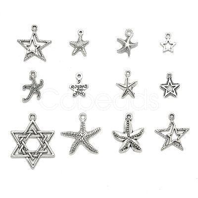 Tibetan Style Alloy Pendants TIBEP-MSMC021-02AS-1