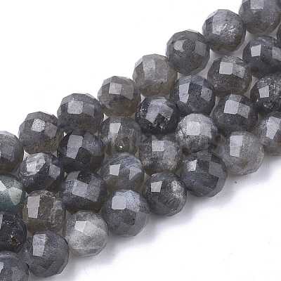 Natural Labradorite Beads Strands G-S345-8mm-005-1