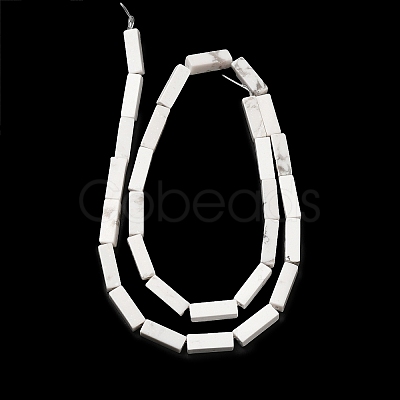 Synthetic Howlite Beads Strands G-K340-D06-01-1