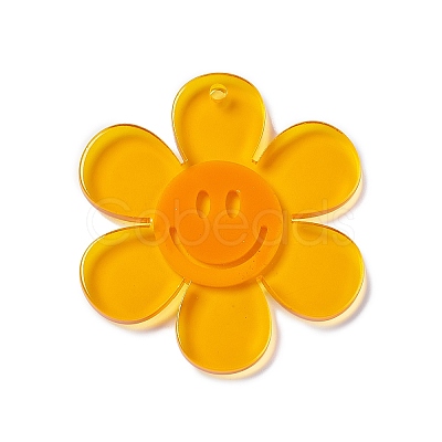 Transparent Acrylic Big Pendants LS-OACR-P012-A01-1