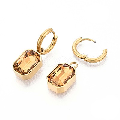 304 Stainless Steel Hoop Earrings EJEW-T047-14G-B-1