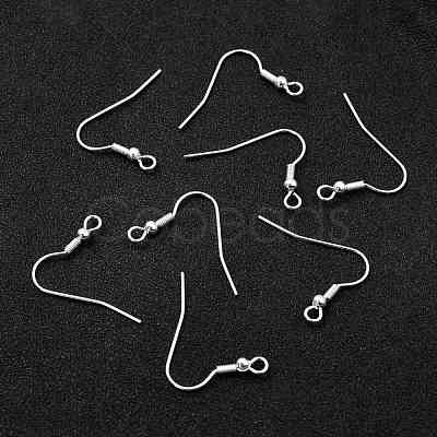304 Stainless Steel Earring Hooks X-STAS-L258-001B-S-1