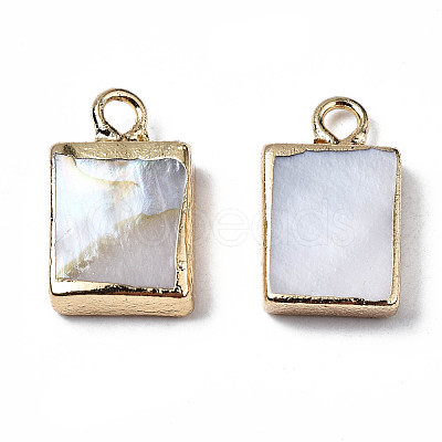 Natural Freshwater Shell Charms SHEL-N026-147-1