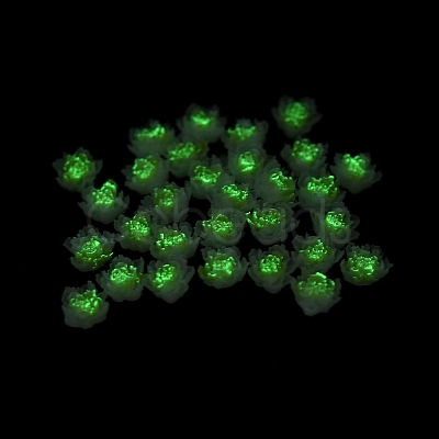Luminous Resin Decoden Cabochons LS-RESI-K036-06F-02-1