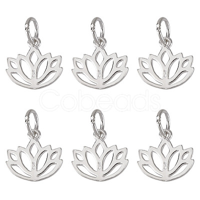6Pcs Hollow 925 Sterling Silver Charms STER-DR0001-35-1