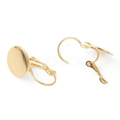 304 Stainless Steel Leverback Earring Findings KK-H152-08B-G-1