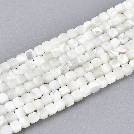 Natural Trochid Shell/Trochus Shell Beads Strands SSHEL-N041-04A-01-1