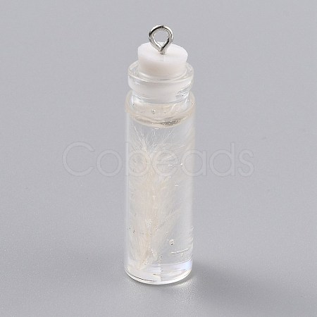 Transparent Glass Bottle Pendant Decorations EGLA-B002-01D-1